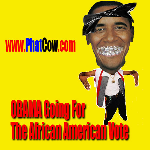 Barack Obama's race is questioned by PhatCow.com
